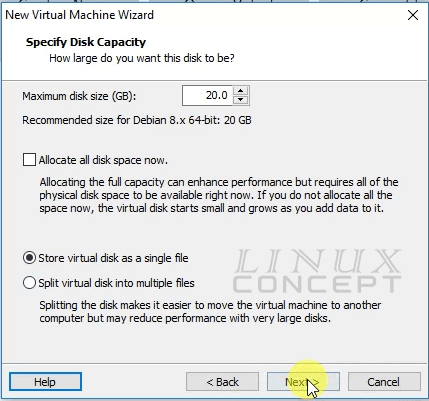 VMware Debian disk type and size configuration