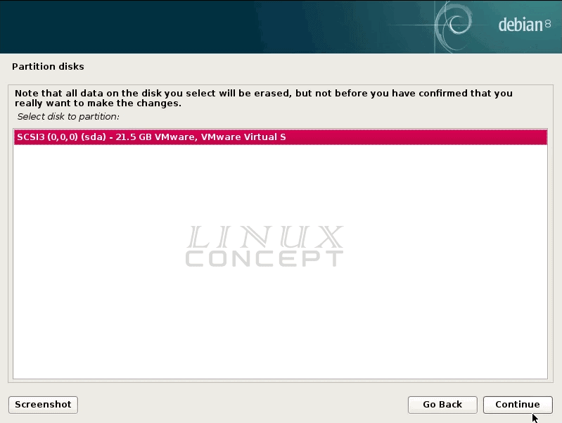 VMware Debian VM disk partion configuration