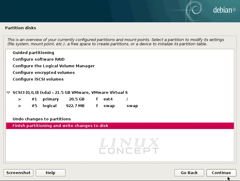 VMware Debian VM partition disk selection