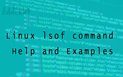 Linux lsof command Help and Examples