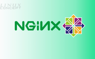 How to Install Nginx on CentOS 8 Operating System