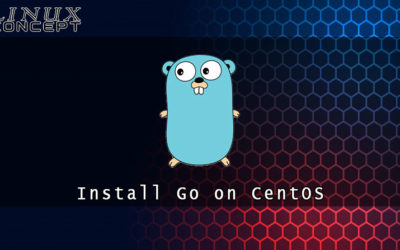 How to Install Go on CentOS 8 Linux