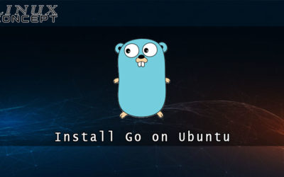 How to Install Go on Ubuntu 20.04 Linux