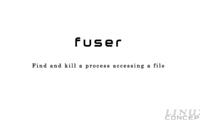 UNIX/LINUX Command – fuser