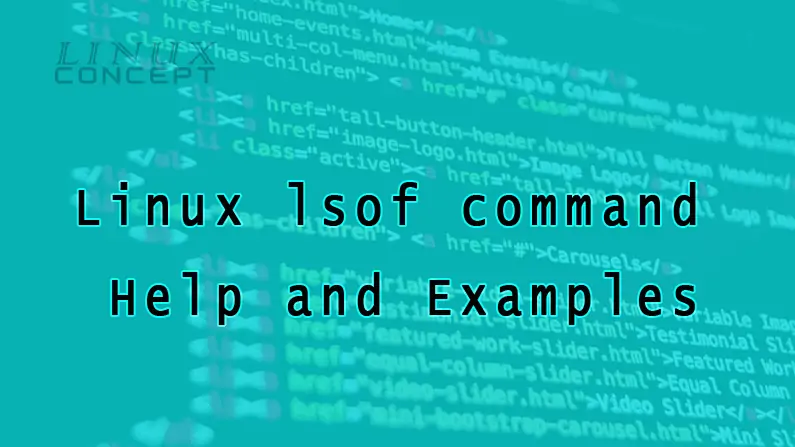 Linux lsof command Help and Examples