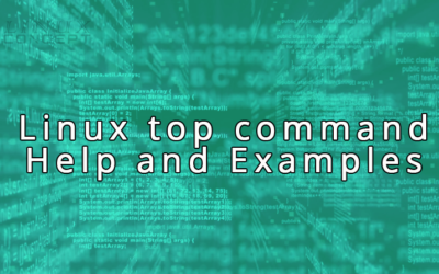 Linux top command Help and Examples