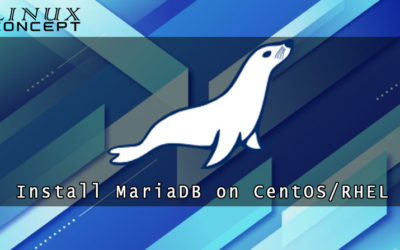 How to Install MariaDB on Red Hat Enterprise Linux 8 Operating System