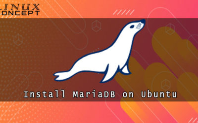 How to Install MariaDB on Ubuntu 16.04 Linux Operating System