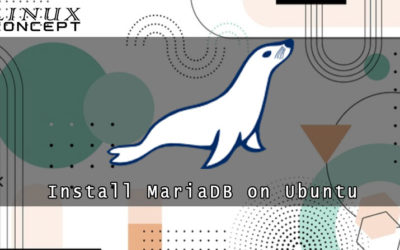 How to Install MariaDB on Ubuntu 19.04 Linux Operating System