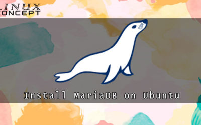 How to Install MariaDB on Ubuntu 20.04 Linux Operating System
