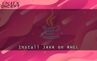 How to Install Java on RHEL 8 (Red Hat Enterprise Linux) Operating System