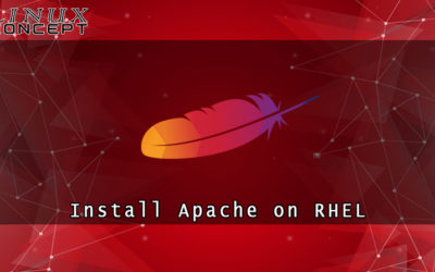 How to Install Apache on RHEL 8 (Red Hat Enterprise Linux) Operating System