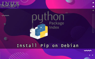 How to Install Pip on Debian 10 Linux