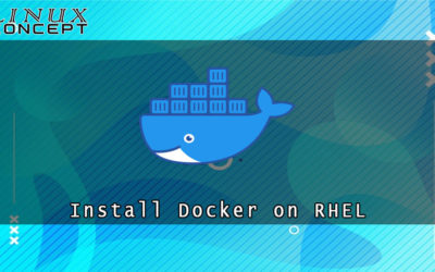 How to Install Docker on RHEL 8 (Red Hat Enterprise Linux)