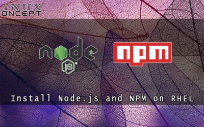How to Install Node.js and NPM on RHEL 7 (Red Hat Enterprise Linux)