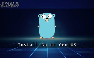 How to Install Go on CentOS 6 Linux