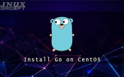 How to Install Go on CentOS 7 Linux