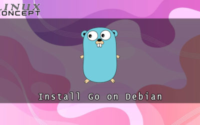 How to Install Go on Debian 9 Linux