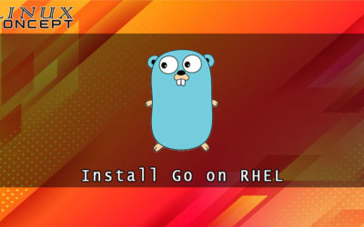 How to Install Go on RHEL 7 (Red Hat Enterprise Linux)