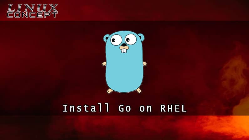 How to Install Go on RHEL 8 (Red Hat Enterprise Linux)